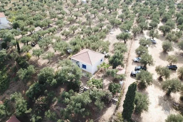 Bird's eye view  Fotios