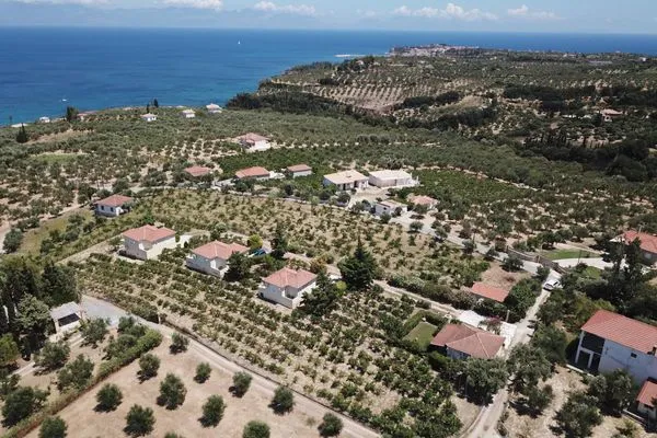 Bird's eye view  Orfanos 2