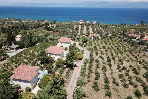 Main view  Orfanos 2