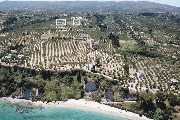 Nachbarschaft  Orfanos 3