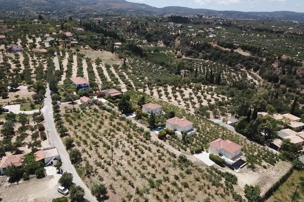 Vogelperspektive  Orfanos 3