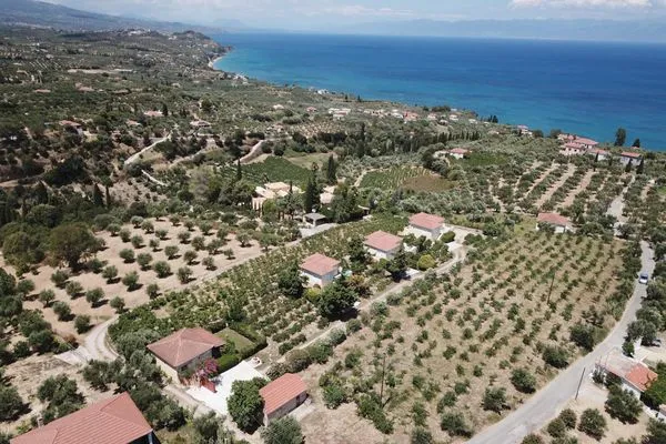 Bird's eye view  Orfanos 4