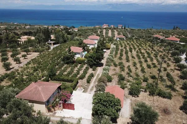 Bird's eye view  Orfanos 4