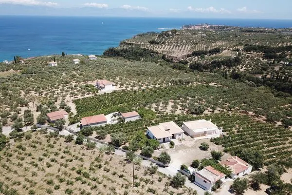 Vogelperspektive  Tassos 1