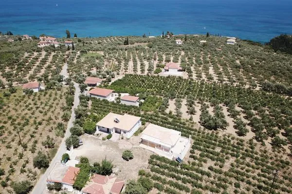 Neighbourhood  Tassos 2