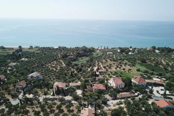 Bird's eye view  Rigotis 1