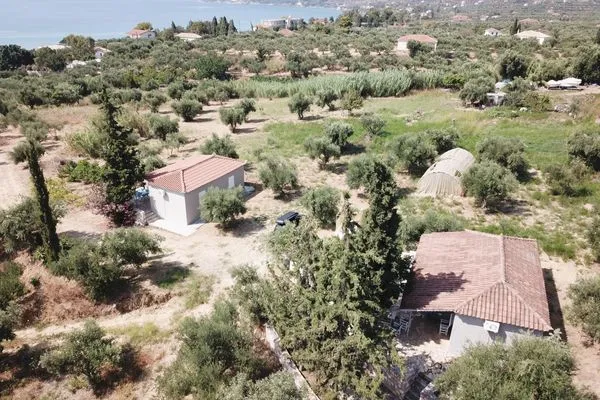 Bird's eye view  Rigotis 1