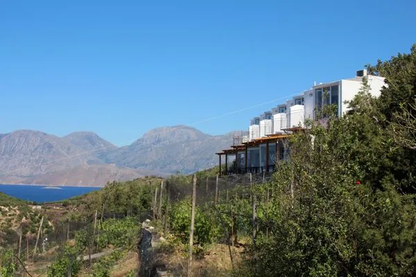 Main view  Kounenos A1