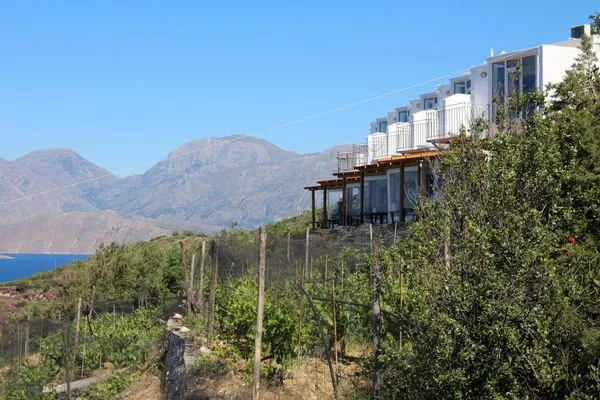 Main view  Kounenos A2