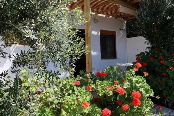 Main view  Kounenos Studio 1