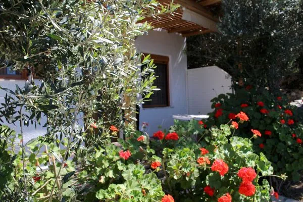 Main view  Kounenos Studio 2