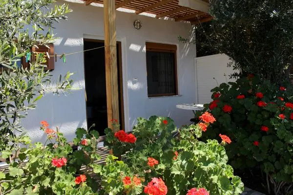 Main view  Kounenos Studio 2