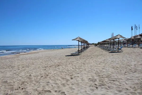 Beach  Inga-Analpisi