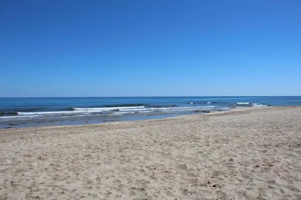 Beach  Inga-Analpisi