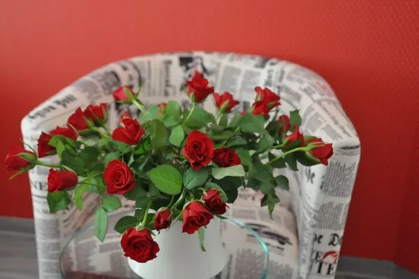   Ferienhaus Haubenlerche 63 - Haus Marilyn