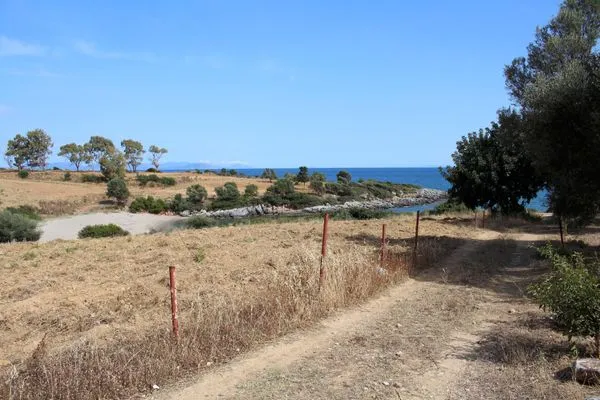 Beach access  Alexia