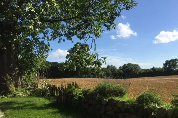 Landschaft  Romantische Ferien unter Reet an der Schlei - Reetdachhaus Frau Schröders - Urlaub in Ostseenähe