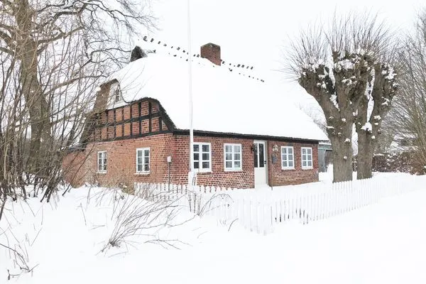 Hauptansicht  Romantische Ferien unter Reet an der Schlei - Reetdachhaus Frau Schröders - Urlaub in Ostseenähe