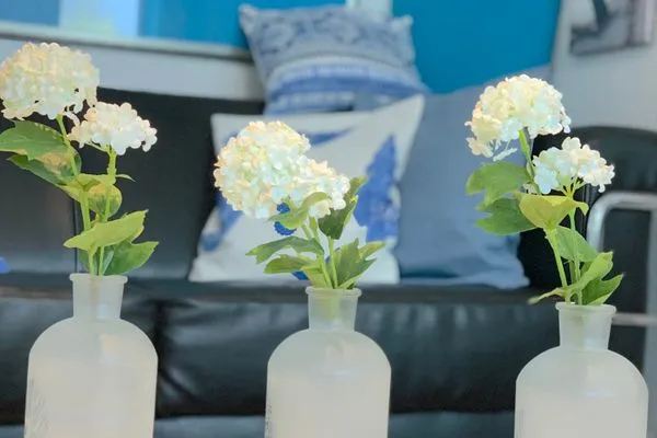 Dekoratives Detail  Ferienwohnung Kajüte am Borbyerufer von Eckernförde