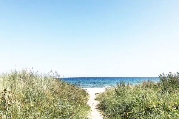 Strand  Romantische Ferien unter Reet an der Schlei - Reetdachhaus Frau Schröders - Urlaub in Ostseenähe