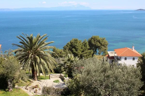 Landschaft  Erika View