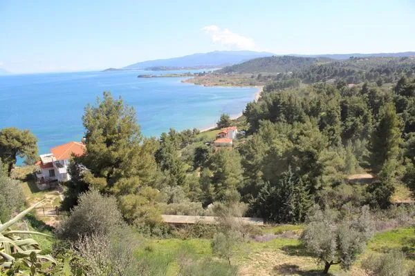 Landschaft  Erika View