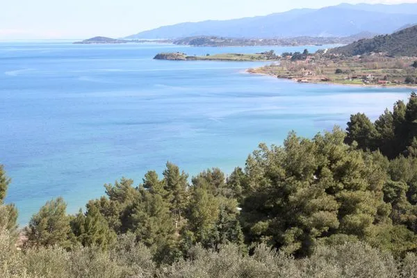 Landschaft  Erika View