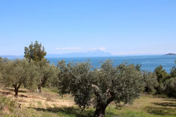 Landschaft  Erika View