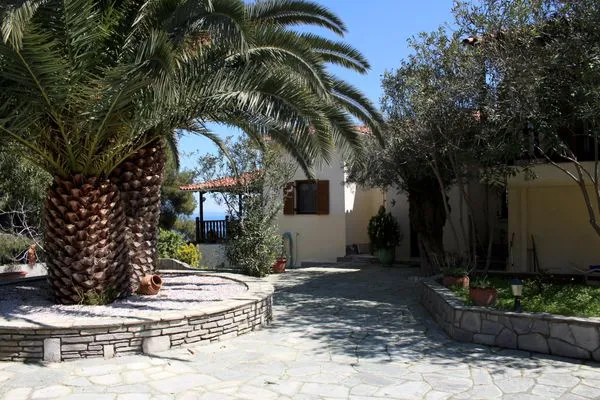 Hauptansicht  Erika View