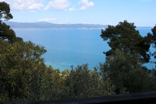 Meerblick  Erika View