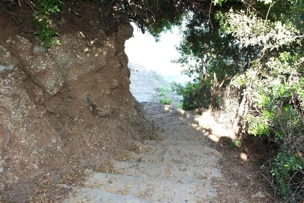 beach access  Hippokamp