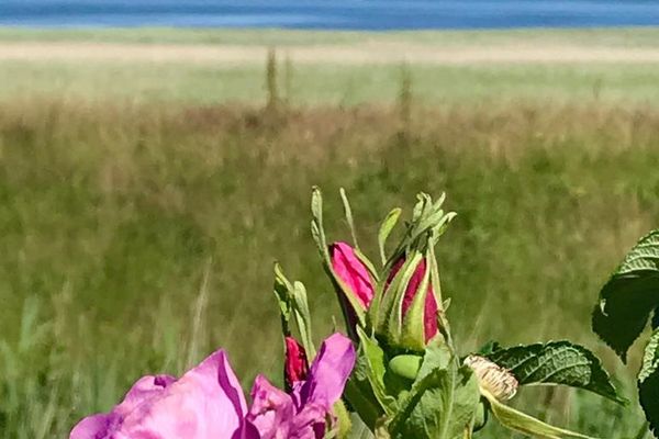 "MeerBlick", App. 6 Rantum - 