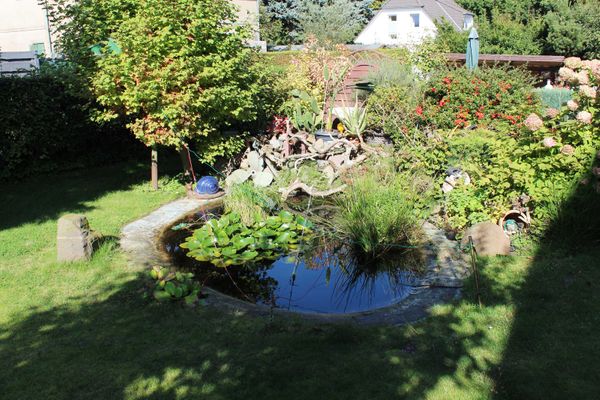  Renate Kühlungsborn - Garten