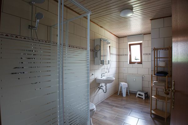 Midlum Zaunkönig Föhr  Die Grüne Insel - 