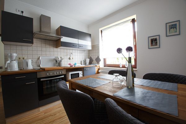 Midlum Zaunkönig Föhr  Die Grüne Insel - 