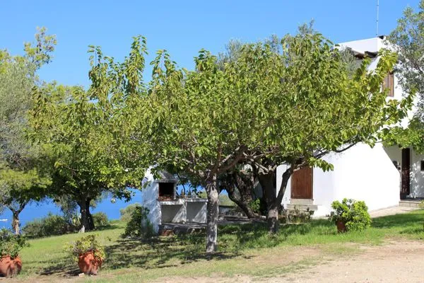 Haus und Garten mit Grill  Aspro Spiti 2