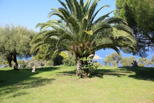 Garten  Aspro Spiti 2