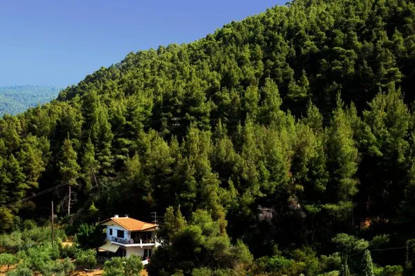 Main view  Philippos 2