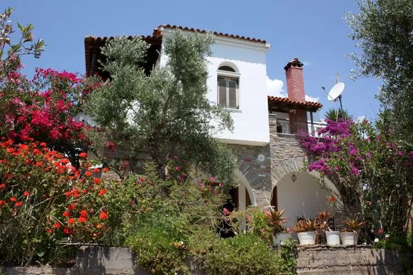 Hauptansicht  Blue Fox 1