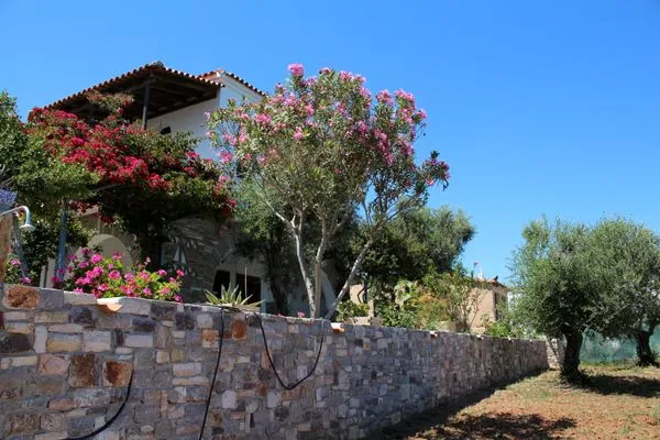 Hauptansicht  Blue Fox 1