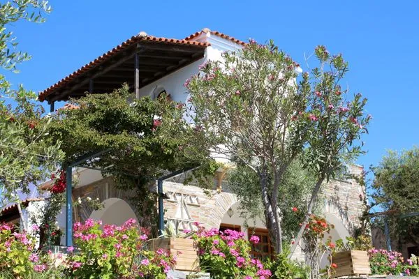 Hauptansicht  Blue Fox 1