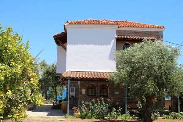 Hauptansicht  Blue Fox 1