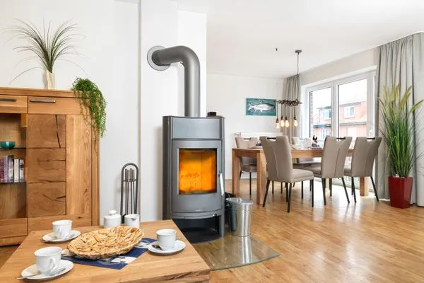 Wohnzimmer mit Kamin Haus Südwester Ringelrobbe