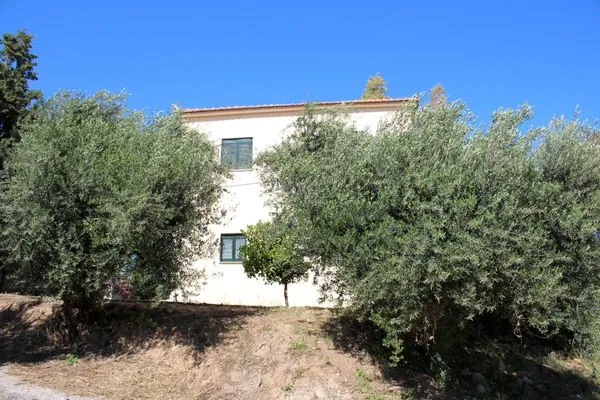 Main view  Anastassia EG