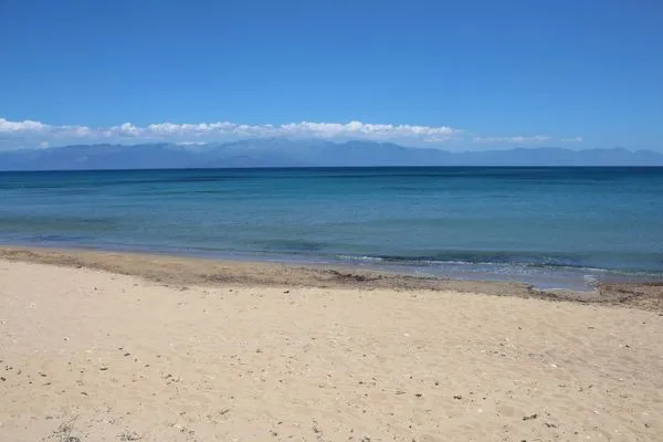 Strand  Spourgitis 2a