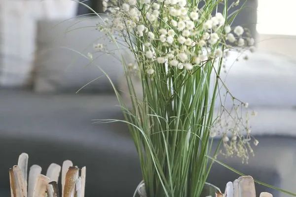 Dekoratives Detail Sonnenhaus Ferienwohnung 1 und 2