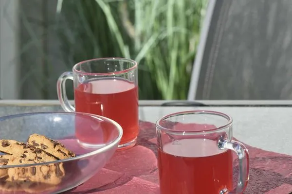 Balkon Sonnenhaus Ferienwohnung 1 und 2