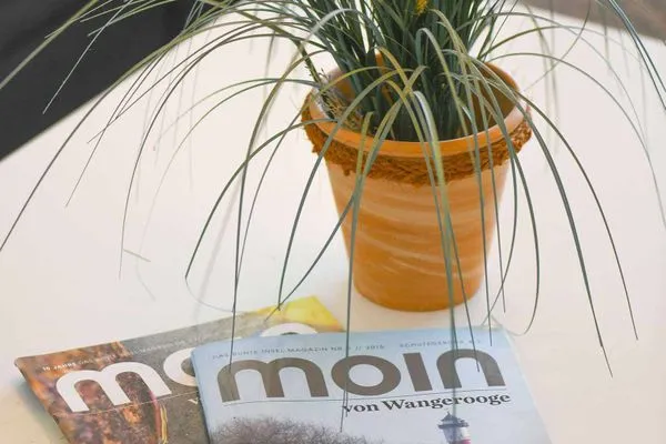 Dekoratives Detail Dünenschlösschen Ferienwohnung 10