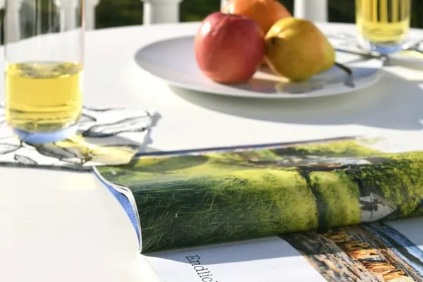 Dekoratives Detail Villa Nautilus Ferienwohnung Marilena