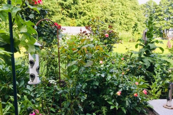  Am Eichberg Wieck - Garten